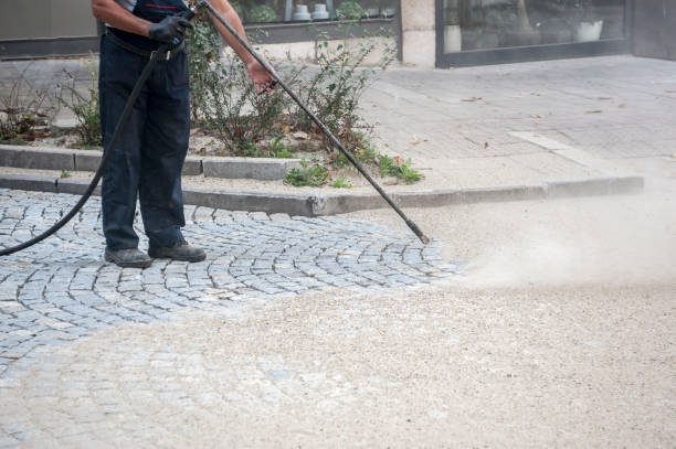 Best Driveway Pressure Washing  in Thomasboro, IL