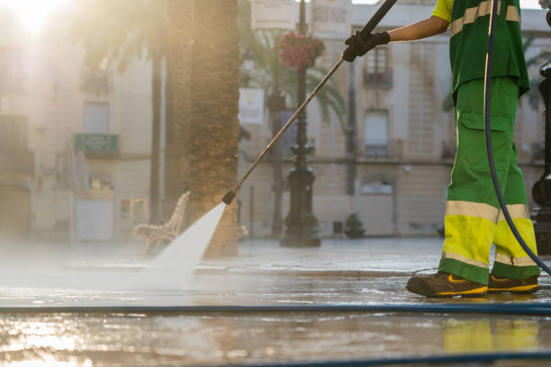 Best Building Exterior Washing  in Thomasboro, IL